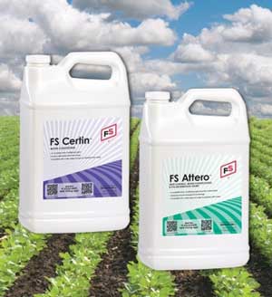 FS ATTERO AND FS CERTIN